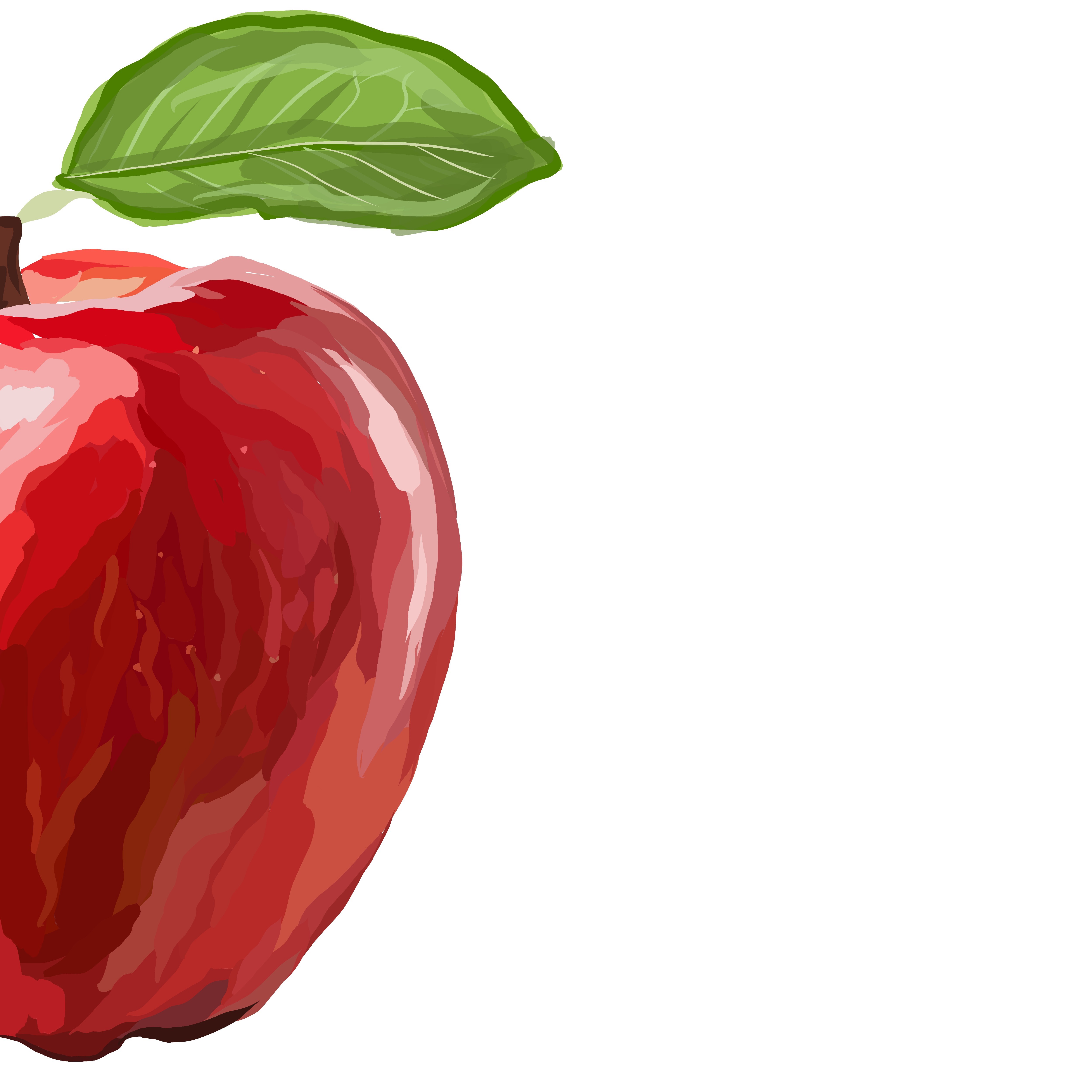 apple illustration